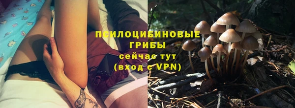 прущая мука Надым