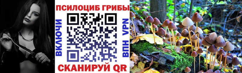 Галлюциногенные грибы Magic Shrooms  купить наркотики цена  гидра ССЫЛКА  Власиха 